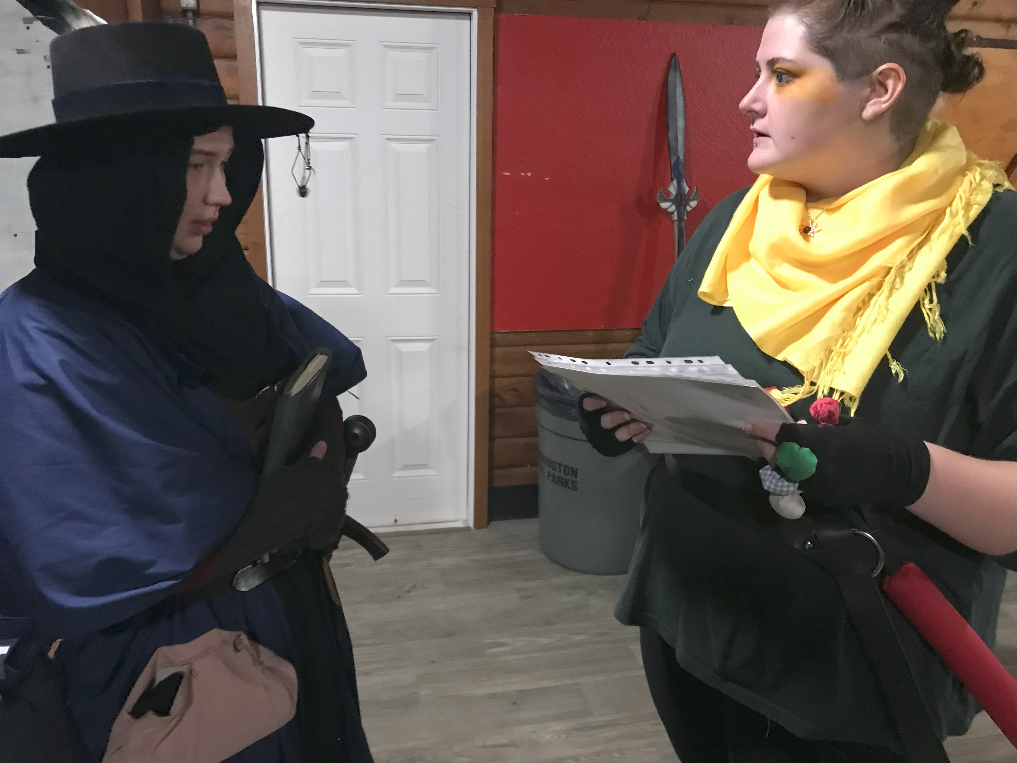 A person in a black hat and blue cloak speaks to a person in green and yellow, photo by Ryan W